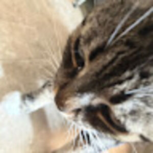 Meet your Posher, Dallas